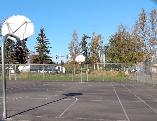 Nunaka Valley Park North 20250727 095248 003