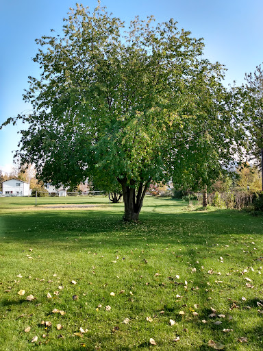 Nunaka Valley Park North 20250727 095257 013