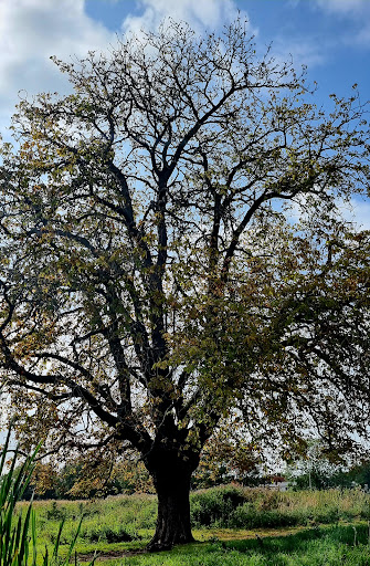 Old Buckenham play area 20250808 175107 007