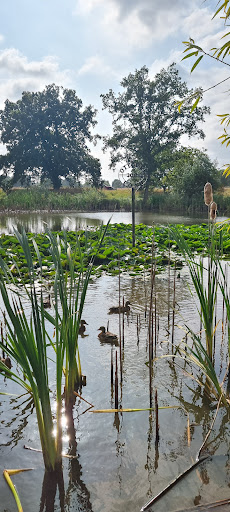 Old Buckenham play area 20250808 175109 009