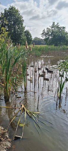 Old Buckenham play area 20250808 175110 010