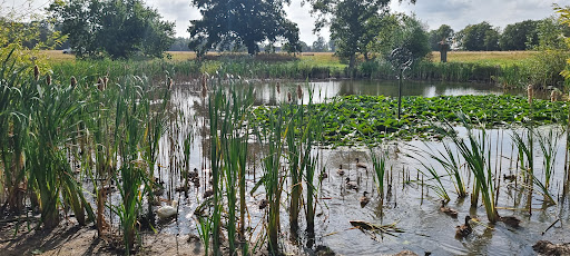 Old Buckenham play area 20250808 175112 012