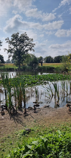 Old Buckenham play area 20250808 175114 015