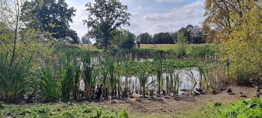 Old Buckenham play area 20250808 175115 016