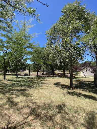 Palmerston Community Playground 20250824 002116 001