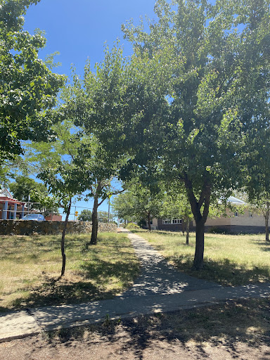 Palmerston Community Playground 20250824 002130 016