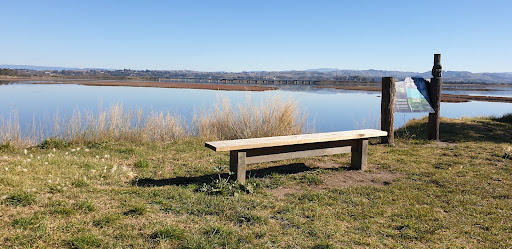 Pandora Pond 20250818 165446 004