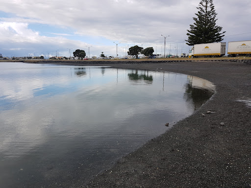 Pandora Pond 20250818 165450 009