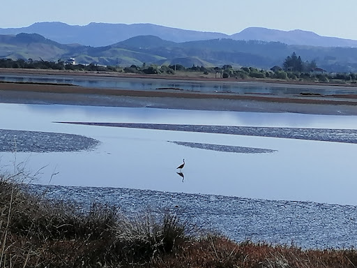 Pandora Pond 20250818 165457 016