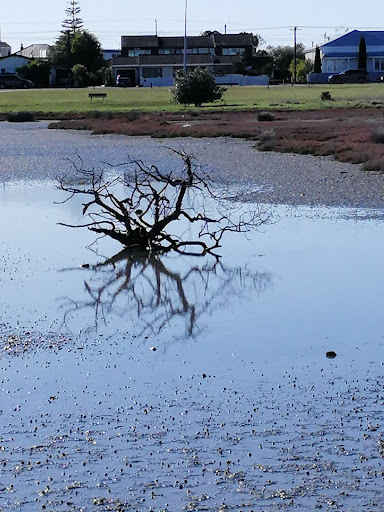 Pandora Pond 20250818 165459 018
