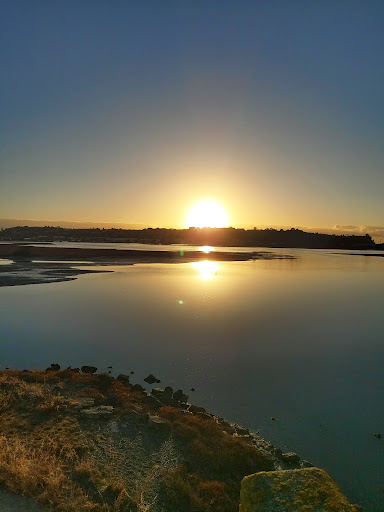 Pandora Pond 20250818 165500 019