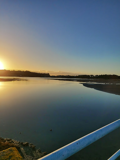 Pandora Pond 20250818 165501 020