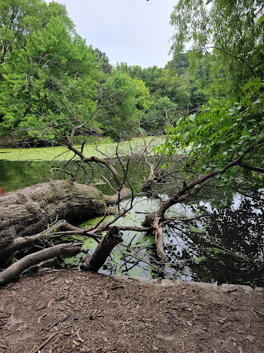 Parade Ground 20250727 035945 002