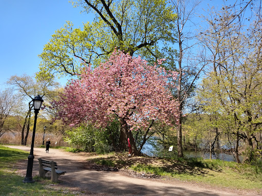 Parade Ground 20250727 035955 014