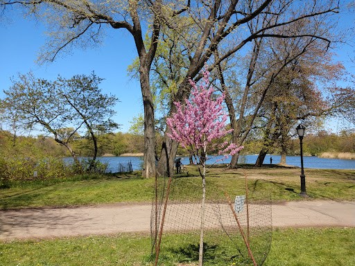 Parade Ground 20250727 035956 015