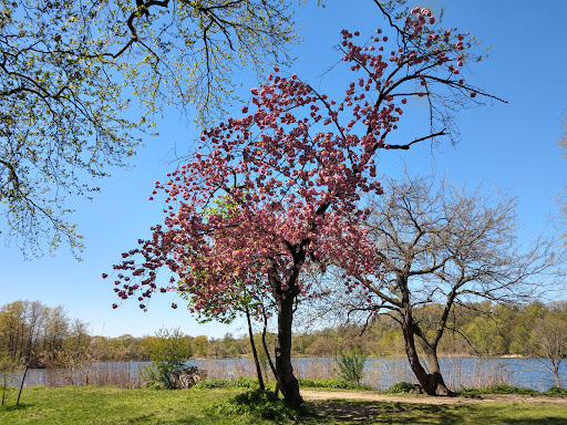 Parade Ground 20250727 035956 016