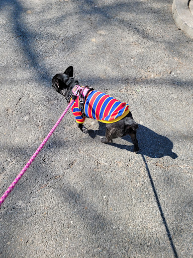 Parade Ground 20250727 035957 017