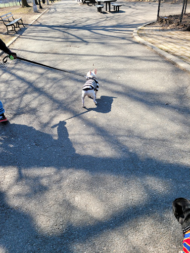 Parade Ground 20250727 035958 018