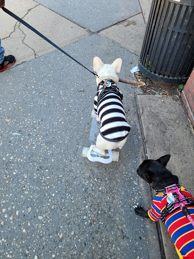 Parade Ground 20250727 035959 019