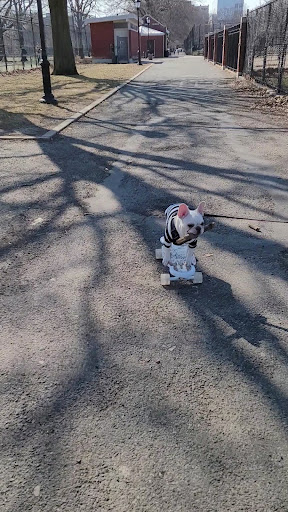 Parade Ground 20250727 040000 020