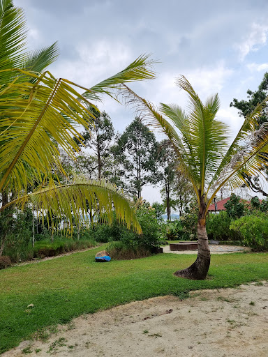 Pasir Ris Park Area 1 Nature Playgarden 20250821 221145 001