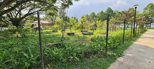 Pasir Ris Park Area 1 Nature Playgarden 20250821 221151 007
