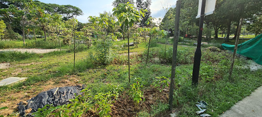 Pasir Ris Park Area 1 Nature Playgarden 20250821 221152 008