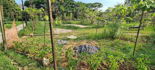 Pasir Ris Park Area 1 Nature Playgarden 20250821 221153 009