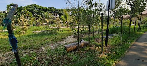Pasir Ris Park Area 1 Nature Playgarden 20250821 221154 010