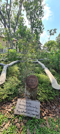 Pasir Ris Park Area 1 Nature Playgarden 20250821 221155 011