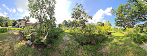 Pasir Ris Park Area 1 Nature Playgarden 20250821 221156 012