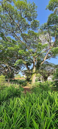 Pasir Ris Park Area 1 Nature Playgarden 20250821 221158 014