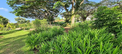 Pasir Ris Park Area 1 Nature Playgarden 20250821 221158 015