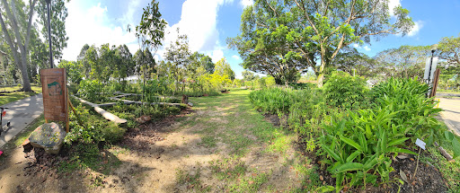 Pasir Ris Park Area 1 Nature Playgarden 20250821 221159 016