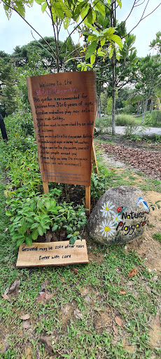 Pasir Ris Park Area 1 Nature Playgarden 20250821 221203 019