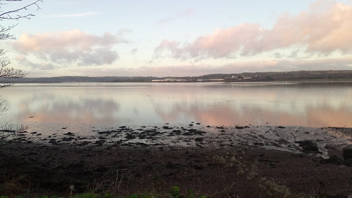 Passage West Playground 20250819 230727 007