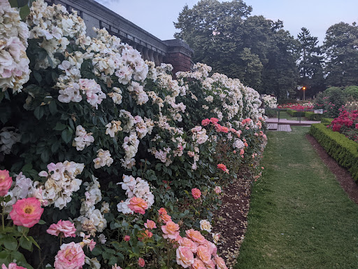 Peninsula Park Playground 20250727 104138 012