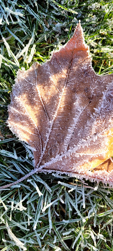 People s Park Play Area 20250808 201001 008