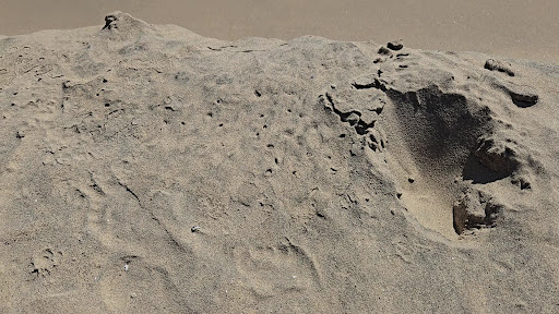 Pere Marquette Park 20250727 070758 006