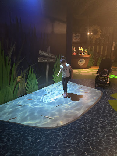 Peter Rabbit   Explore and Play   Blackpool 20250808 162145 003