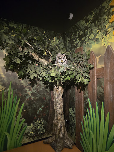 Peter Rabbit   Explore and Play   Blackpool 20250808 162149 007