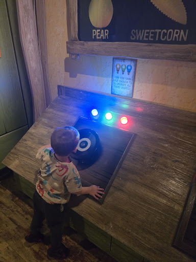 Peter Rabbit   Explore and Play   Blackpool 20250808 162156 016