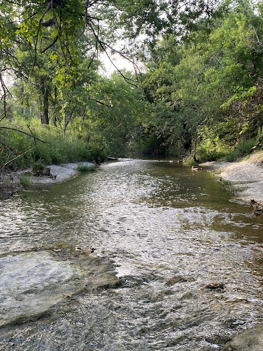 Pfluger Park 20250726 181707 004