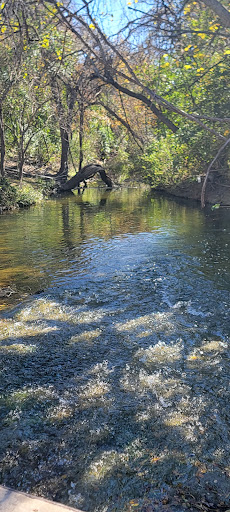 Pfluger Park 20250726 181714 013