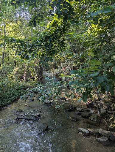 Pfluger Park 20250726 181716 015