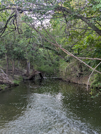 Pfluger Park 20250726 181717 016