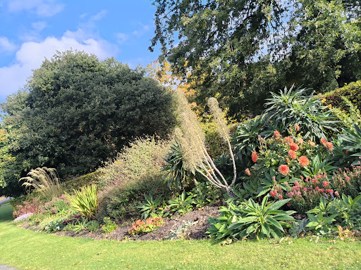 Phoenix Park Playground NCR 20250819 223848 001