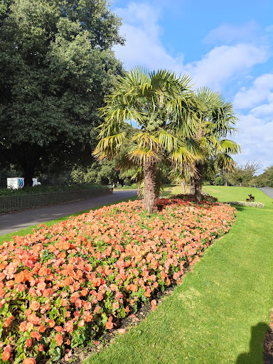 Phoenix Park Playground NCR 20250819 223849 002