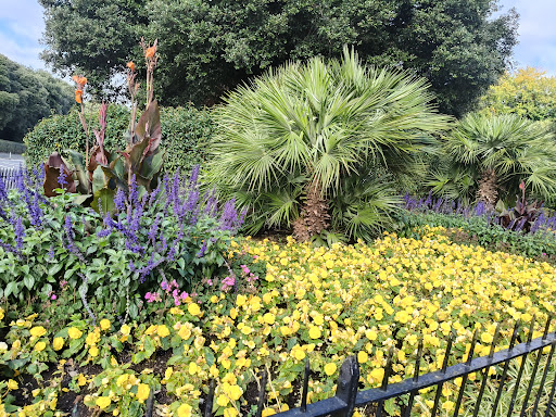 Phoenix Park Playground NCR 20250819 223851 004