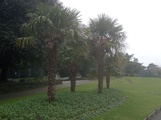 Phoenix Park Playground NCR 20250819 223855 009